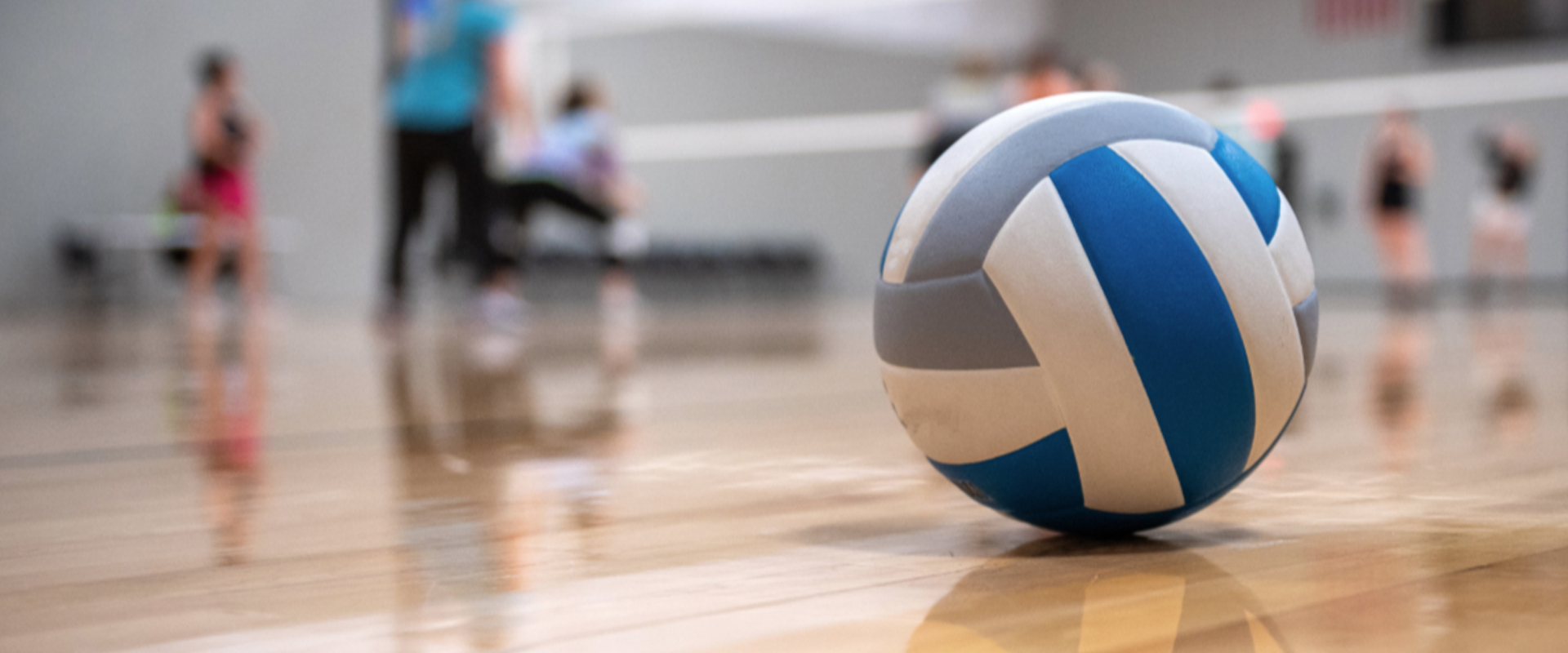 バレーボールネット・用具 用品